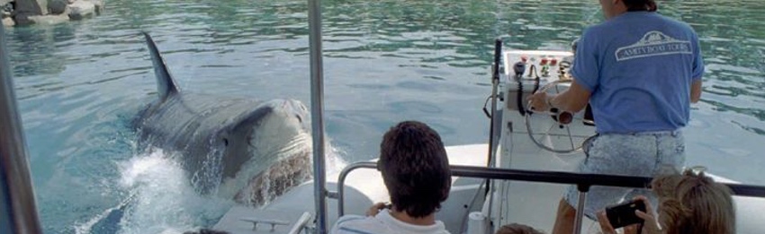 JAWS attacks 1990