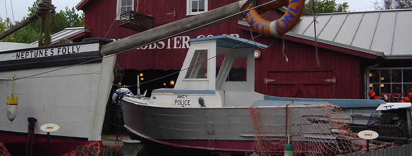 Neptunes Folly