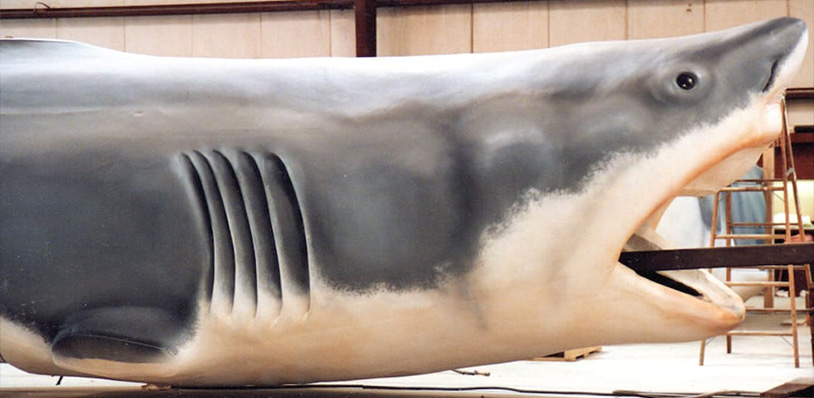 Shark Skin