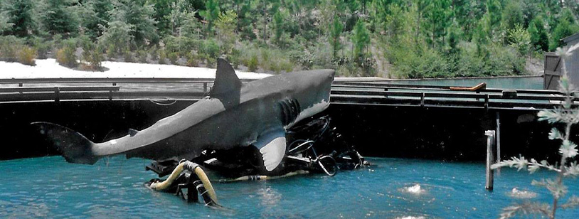 Shark Bites Boat