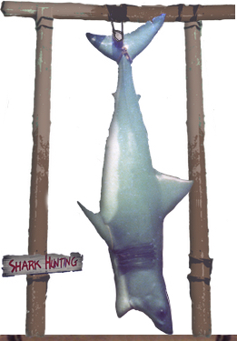 Hanging Shark
