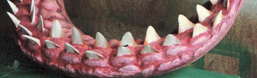 Urethane shark teeth